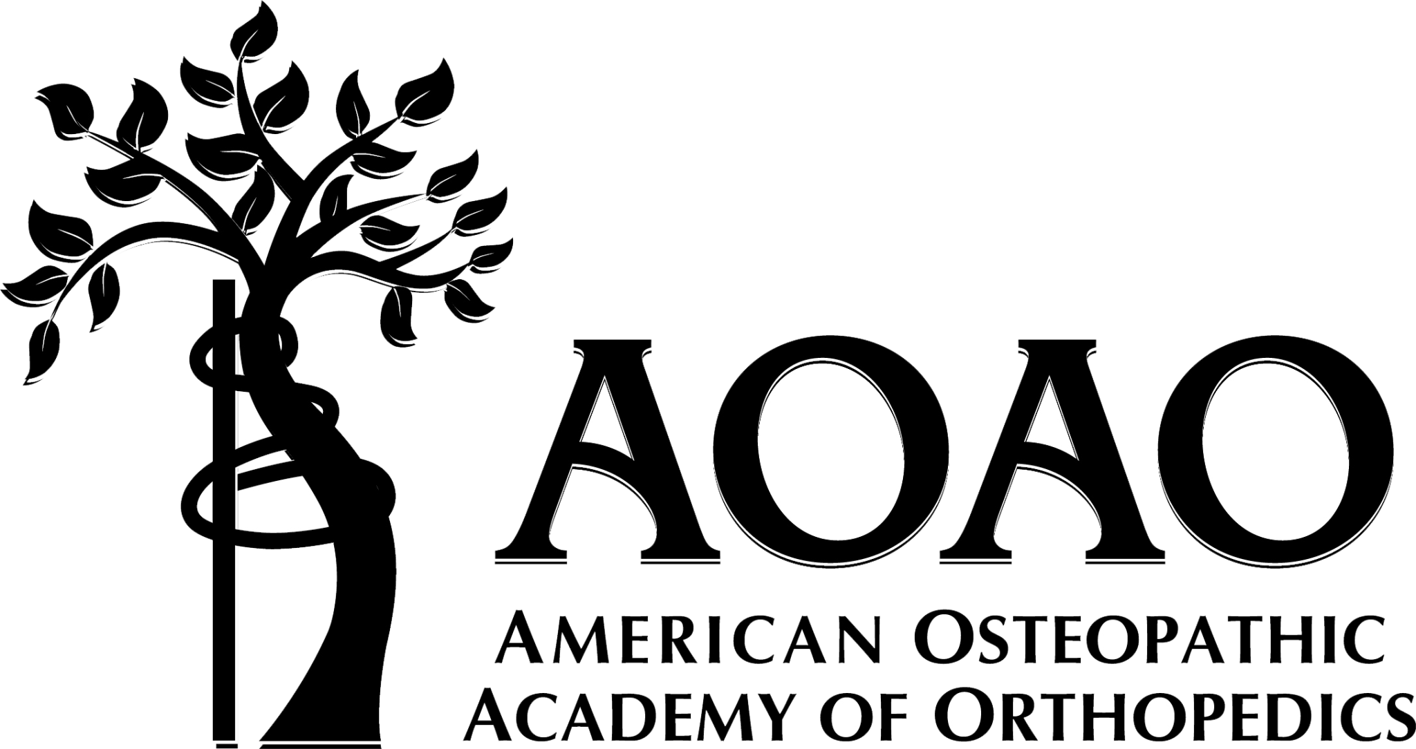 AOAOLogo2013black CORE Orthopedics